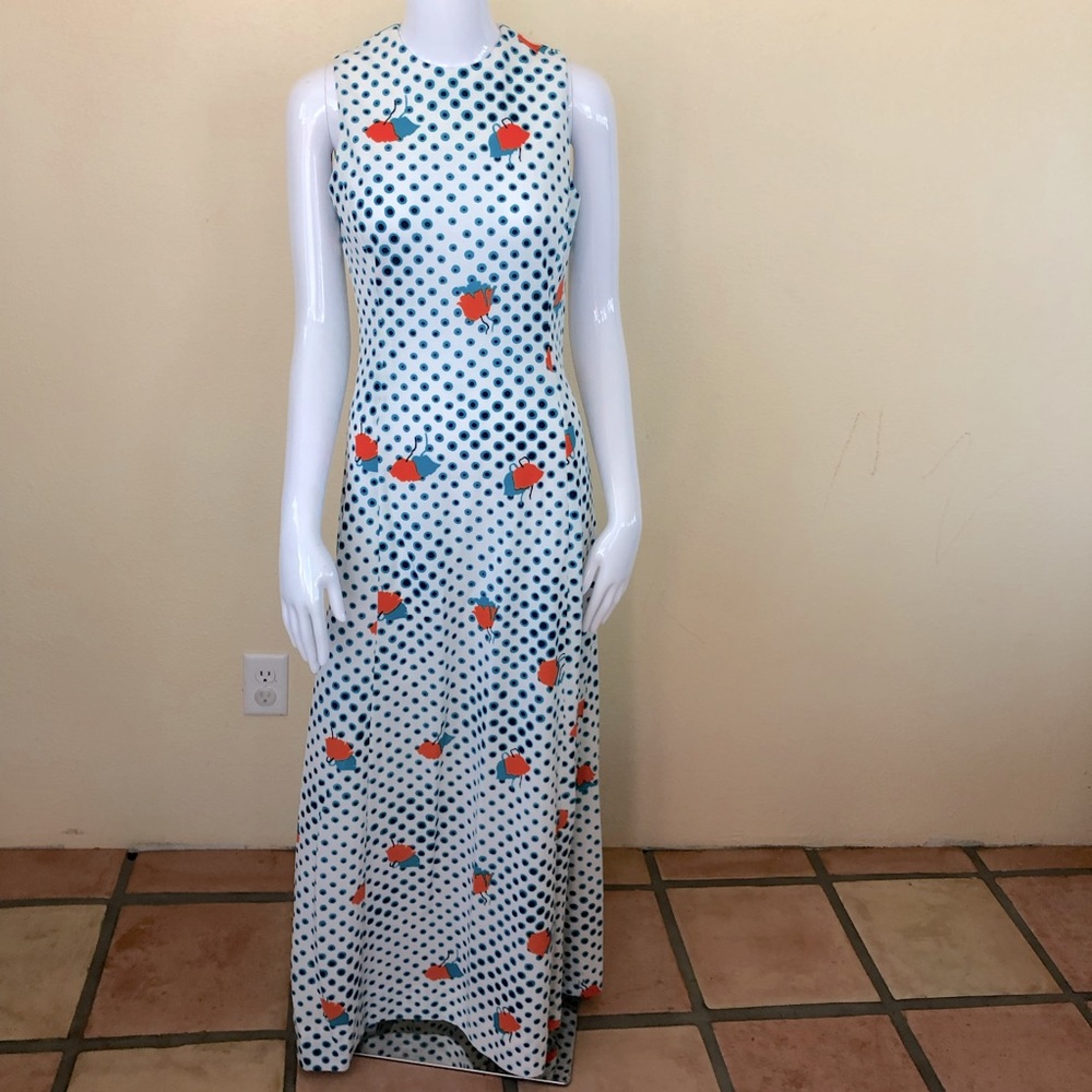 1970’s vintage Poppies and Polka Dots maxi Mod Glam Polka Dot Floral Dress SMALL